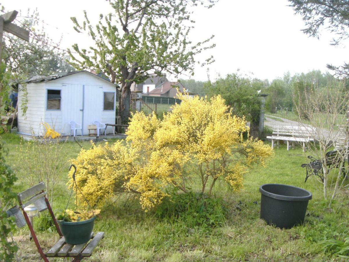 Ferme Lenfant Guest House Ville-Pommeroeul Exterior photo